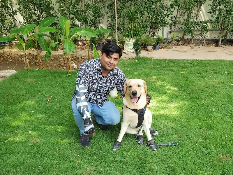 AK DOG GURU DOG TRAINER