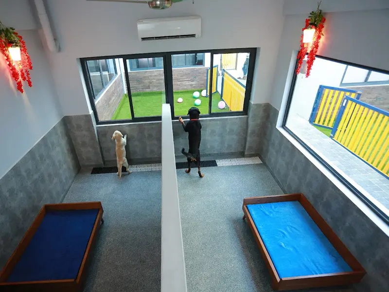 Jeffurry’s Pet Care, photo 2