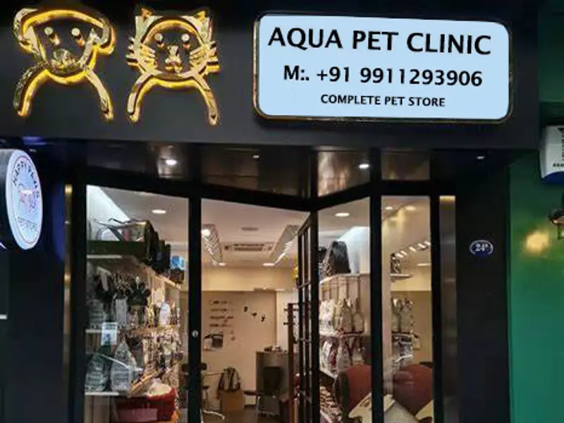 Asia pet store | Puppies For Sale In Gurgaon | Dogs For Sale | Poodle Puppies | Shih Tzu Puppies