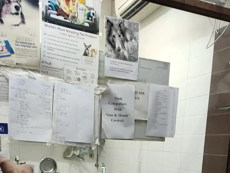 Dr Kharb's Pet Clinic & Surgery, photo 2