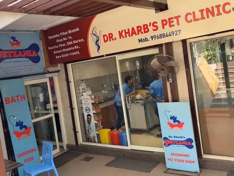 Dr Kharb's Pet Clinic & Surgery, photo 3