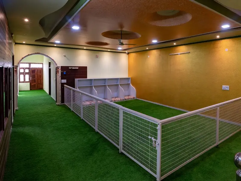 Another Home - Pet Boarding in Delhi NCR | Dog Day Care, photo 3