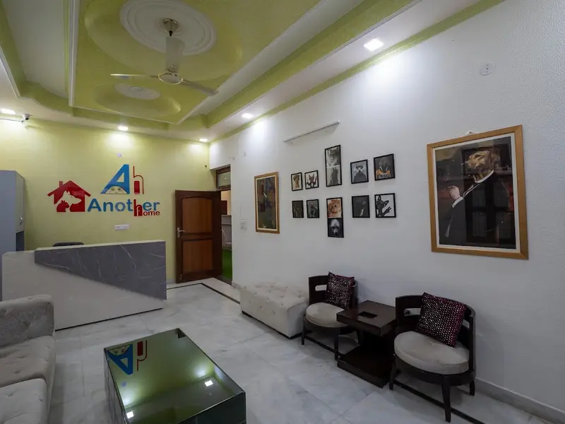 Another Home - Pet Boarding in Delhi NCR | Dog Day Care, photo 4