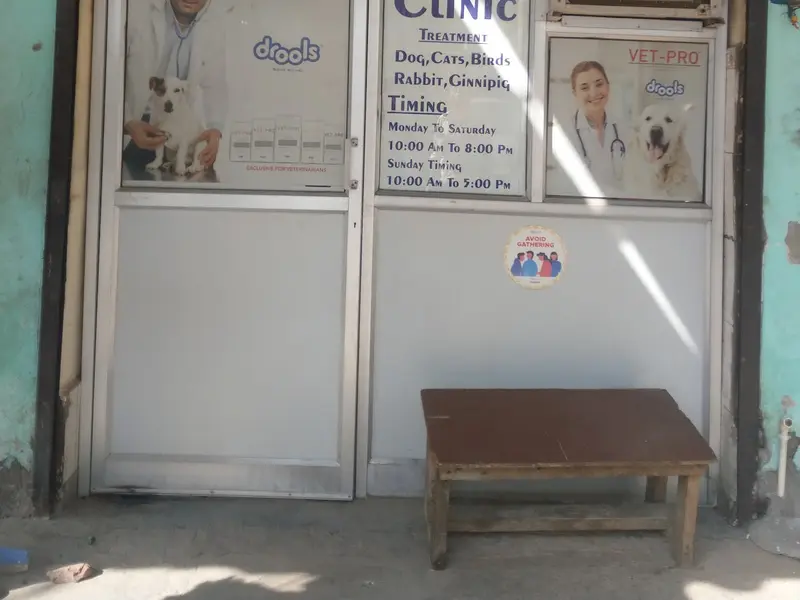 Life care pet clinic, photo 2