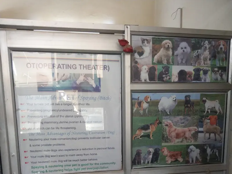 Life care pet clinic, photo 3