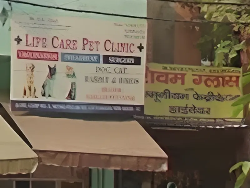 Life care pet clinic, photo 4