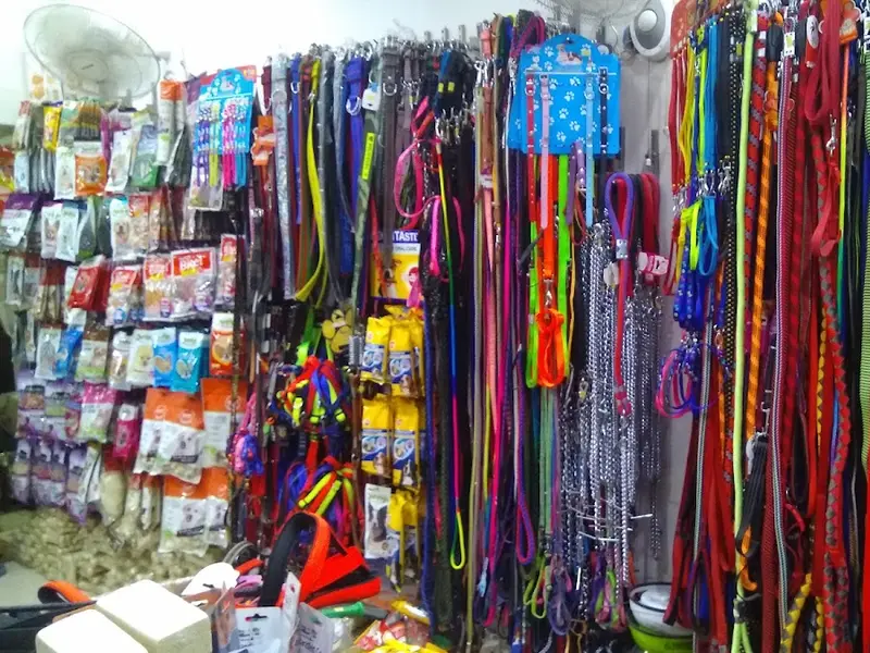 Pawfect Pets- Pet Grooming Shop, photo 5