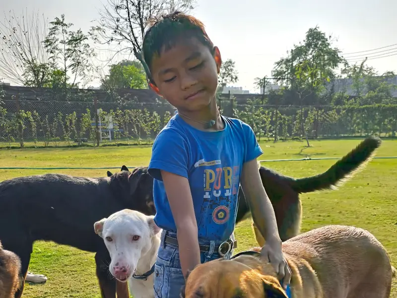 OMA Pet Boarding Faridabad : Pet Boarding in Faridabad | Dog Boarding in Faridabad, photo 2