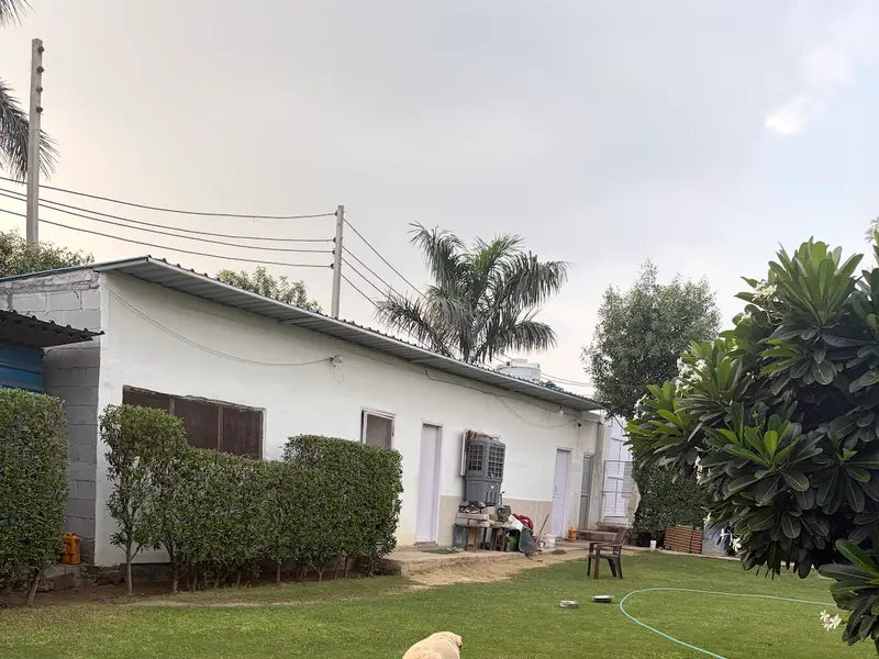 OMA Pet Boarding Faridabad : Pet Boarding in Faridabad | Dog Boarding in Faridabad, photo 5