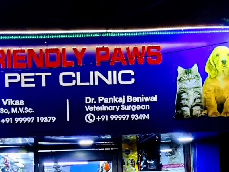 Friendly Paws Pet Clinic, photo 5