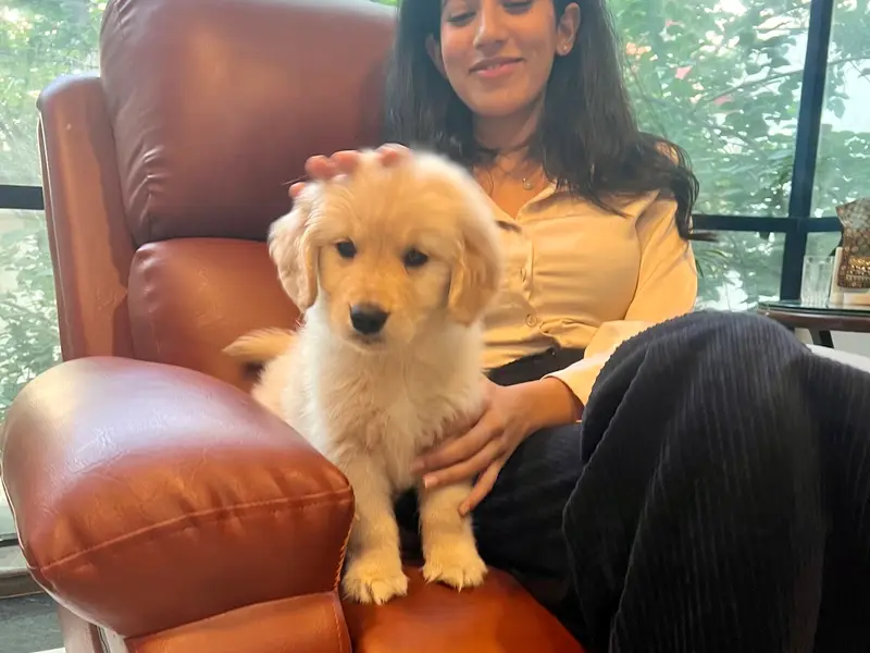 Puppiezo | Animal Welfare Board of India Certified | Deliver Pets Across India, photo 3