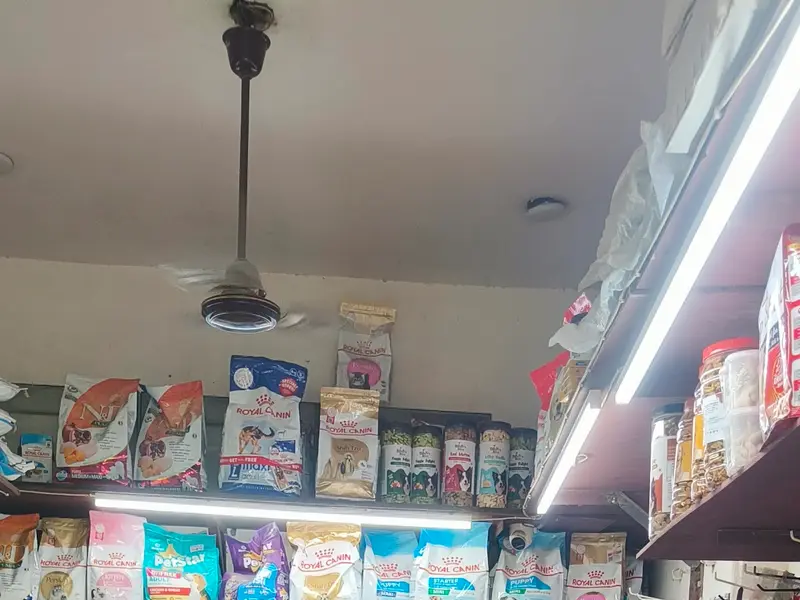 Simran Pet Lover - Complete Pet Shop in Delhi NCR, photo 3