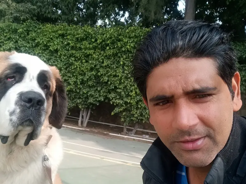 Dog Behavior & Training Puppy dog seller Dwarka Delhi NCR - Dog Trainer Rahul Vaishnav, photo 5
