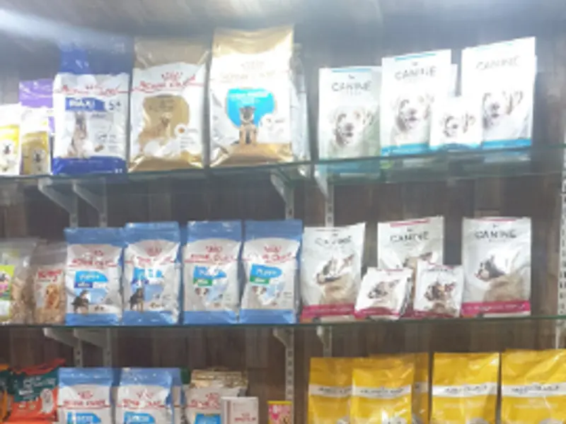 Dogs for sale, photo 2