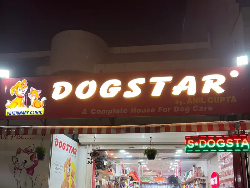 Dogstar F1U, photo 4