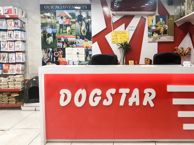 Dogstar, photo 2