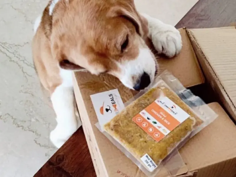 FurrMeals Home Cooked Pet Food, photo 4