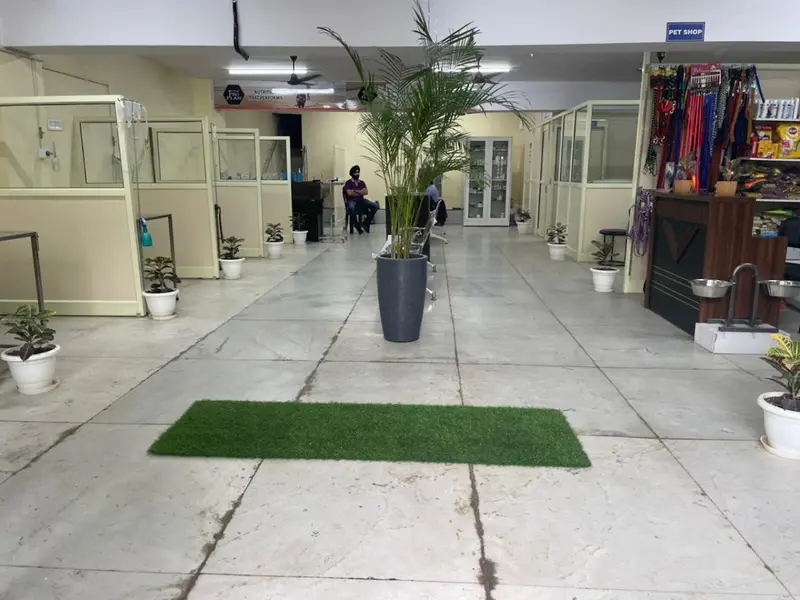 Petmedicity Hospital, photo 2