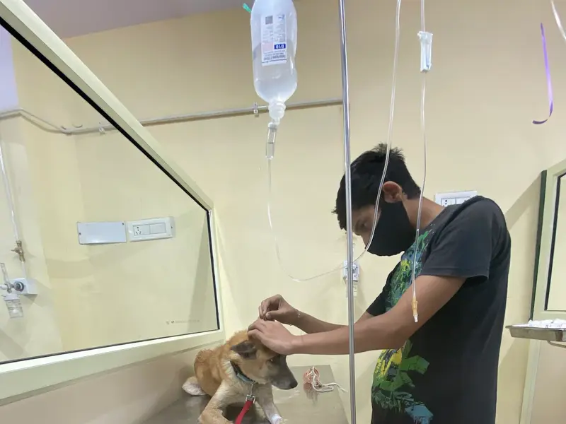 Petmedicity Hospital, photo 4