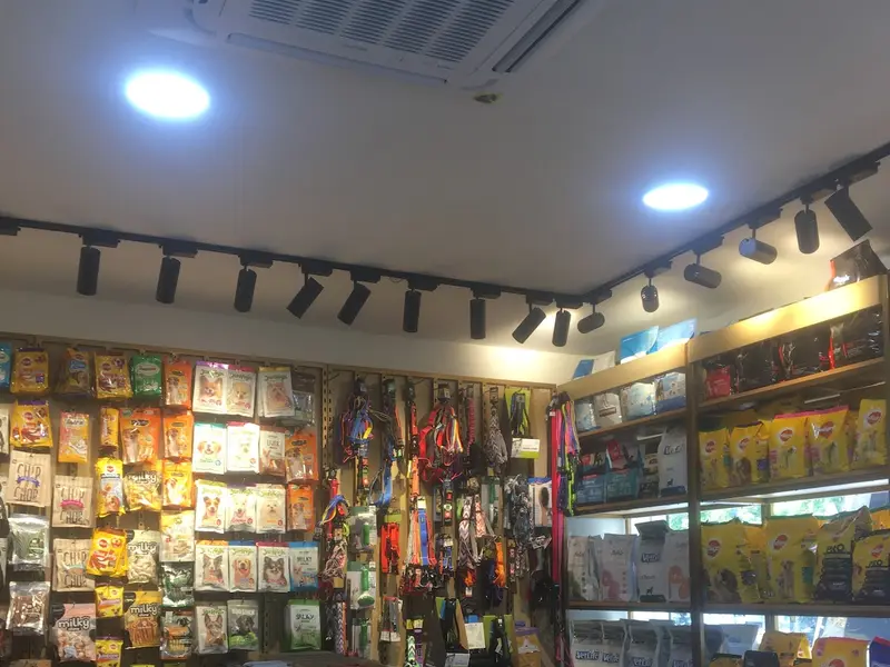 Vetic Pet Clinic Pitampura, photo 3
