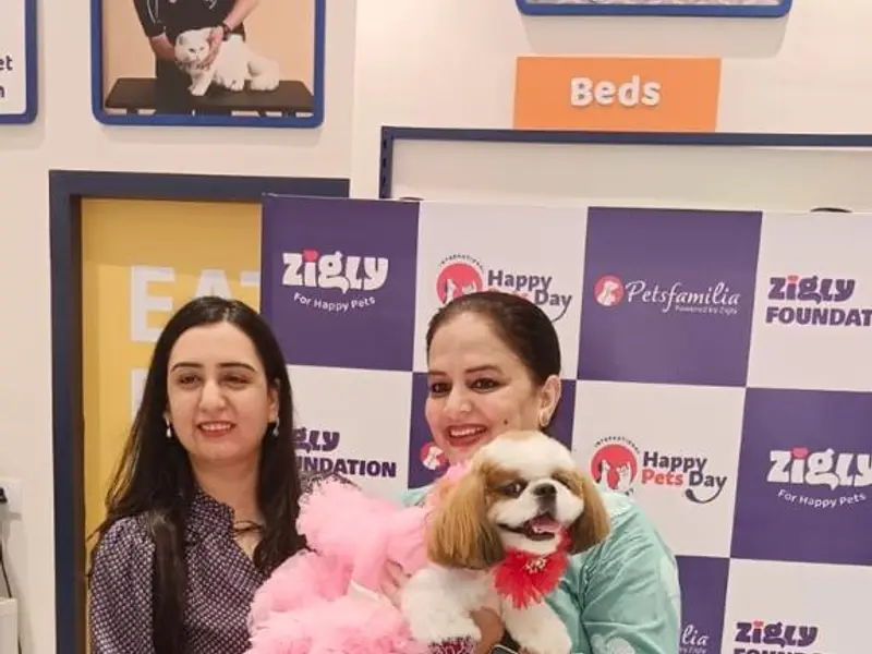 Zigly - Vet Clinic, Pet Grooming & Pet Products | Pitampura, Delhi, photo 4