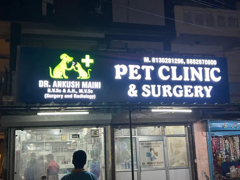Dr Ankush Maini's Pet Clinic, photo 2