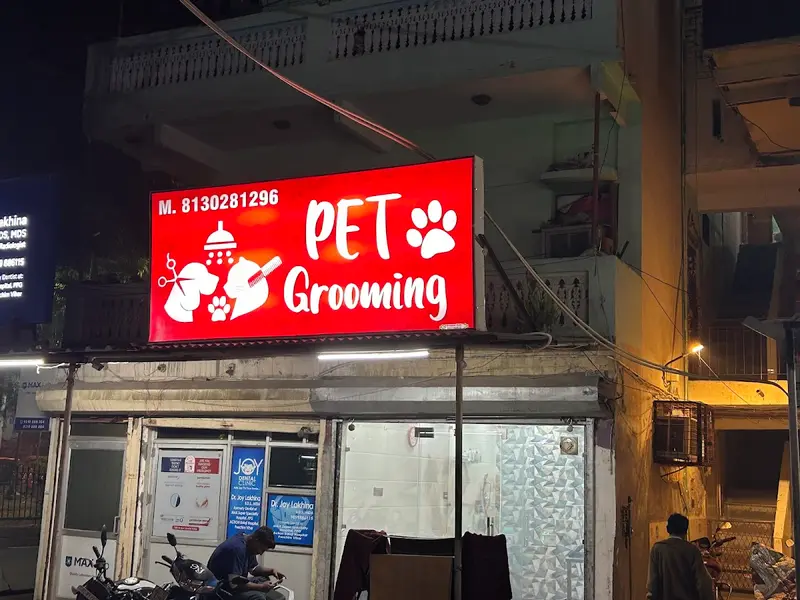 Dr Ankush Maini's Pet Clinic, photo 5