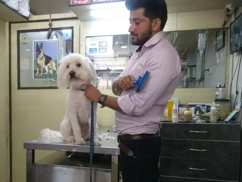 Dr Ankush Maini's Pet Clinic