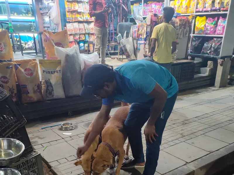 Manish Pet Shop, photo 4