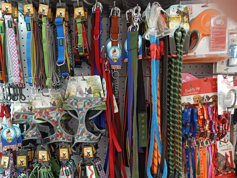 Pawsibilities - Pet shop in Punjabi bagh, photo 2