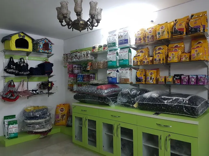 Pawsome Pets Clinic ️, photo 2
