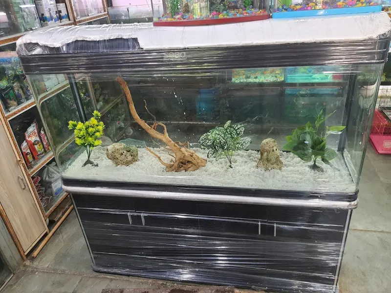 Signature pet shop, photo 3