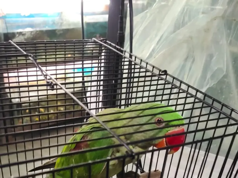 Signature pet shop, photo 4