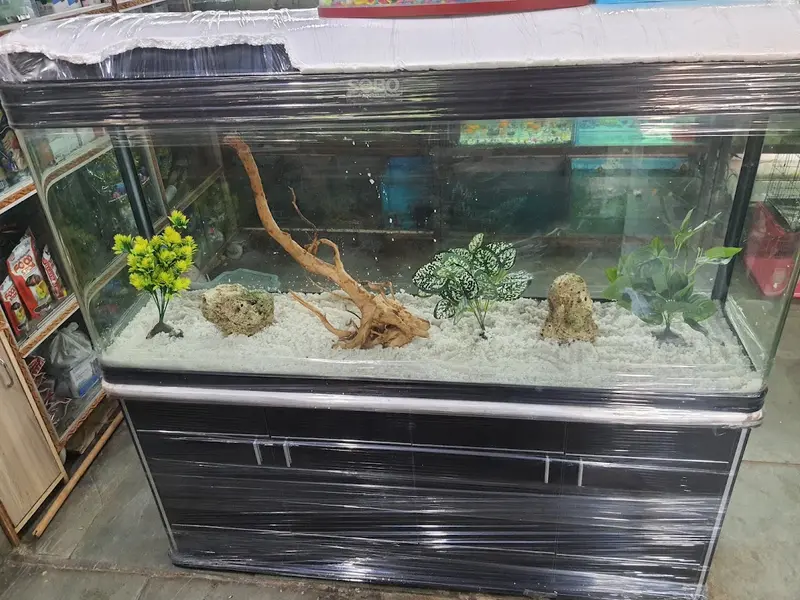 Signature pet shop, photo 5