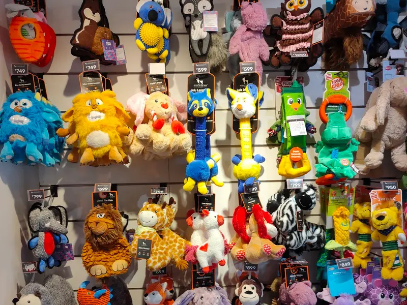 Heads Up For Tails Pet Supply Store | Khan Market, Delhi, photo 5