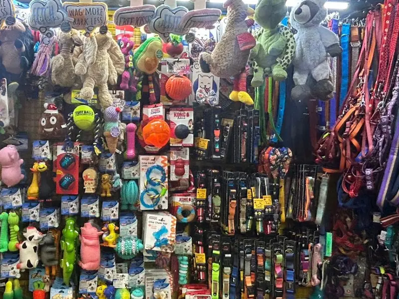 Windsor The Pet Shop, photo 2