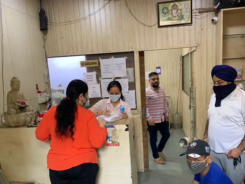 24x7 Pet Clinic, photo 3