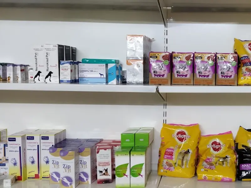 AP VET DOG & CAT CLINIC, photo 5