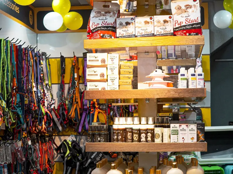 Chien N Chat Pet Shop & Spa, photo 5