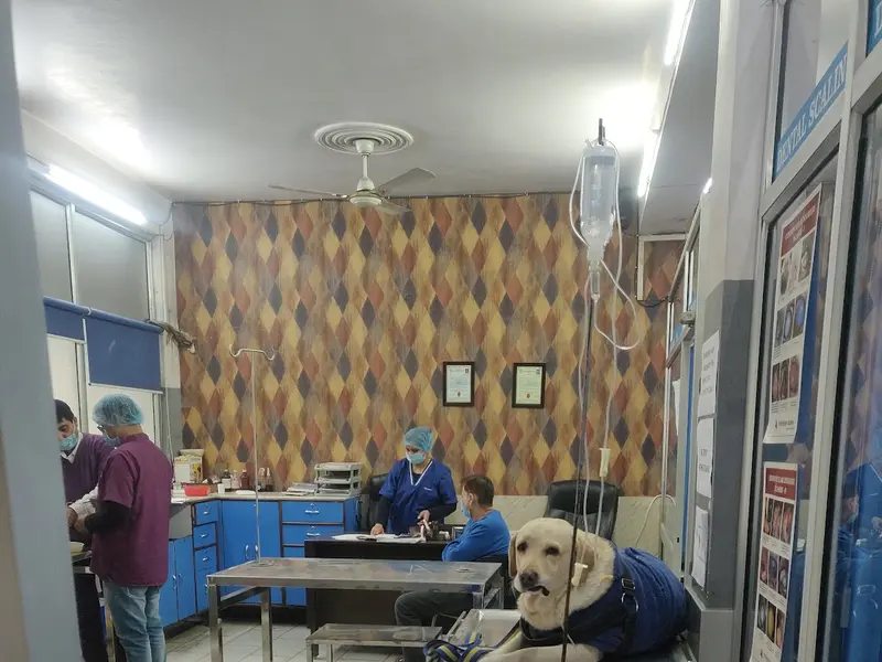 Cure And Care Pet Polyclinic, photo 3