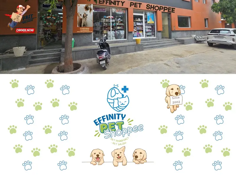 Effinity Pet Shoppee, photo 2