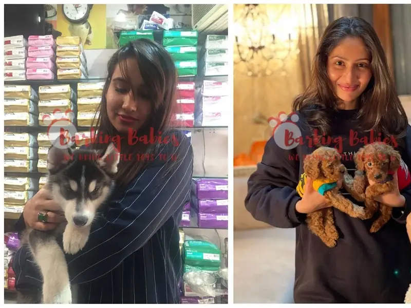The Barking Babies, photo 3