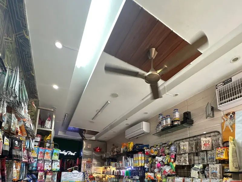Barking Mad Pet store and grooming Salon | West Delhi's Viral store, photo 3