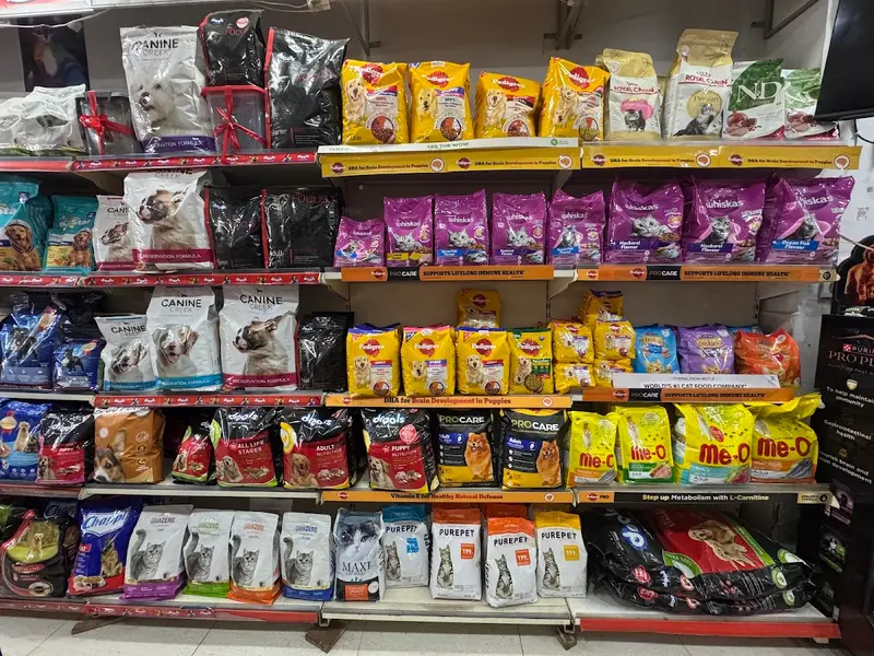 Curly Tails Pet Shop & Grooming, photo 2