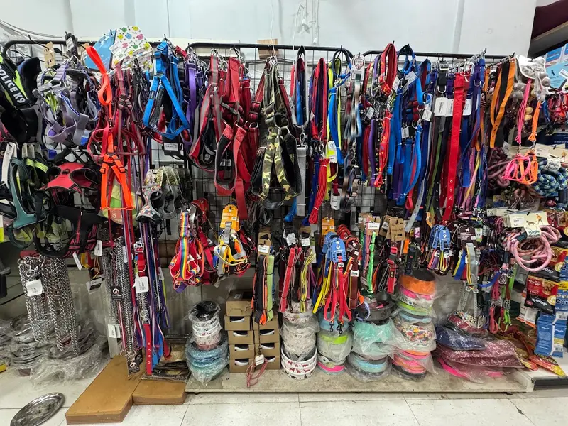 Curly Tails Pet Shop & Grooming, photo 4