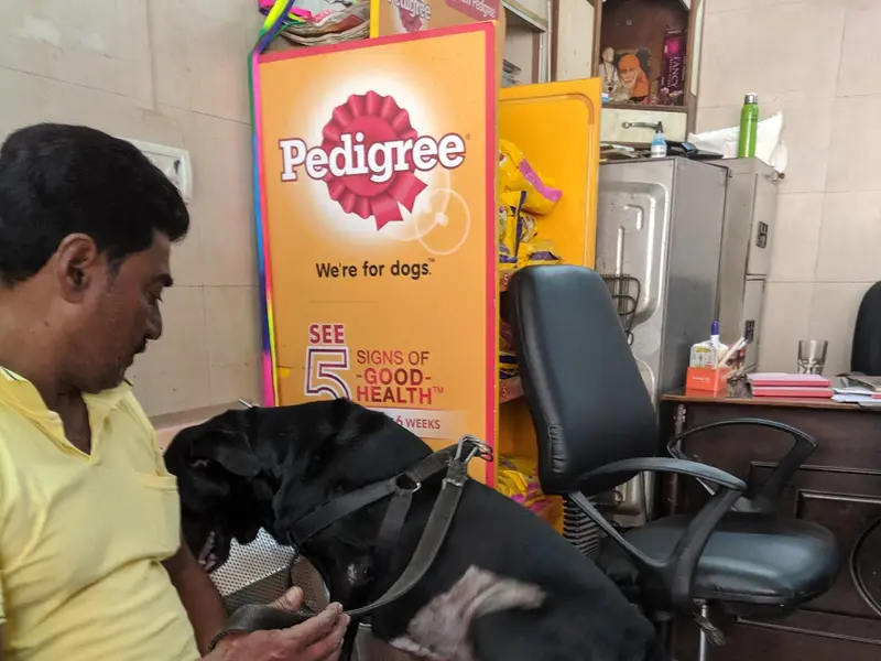 Dr. Vijay Pet Clinic, photo 5