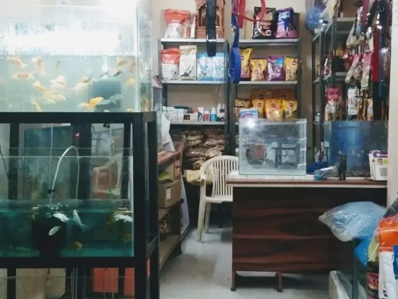 ASM PET SHOP, photo 2