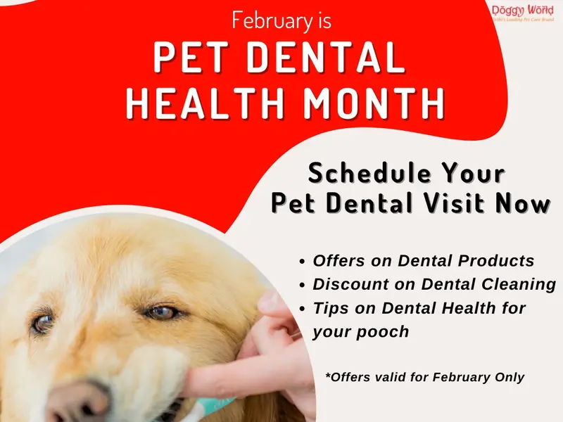 Doggy World Veterinary Hospital Rohini, photo 3