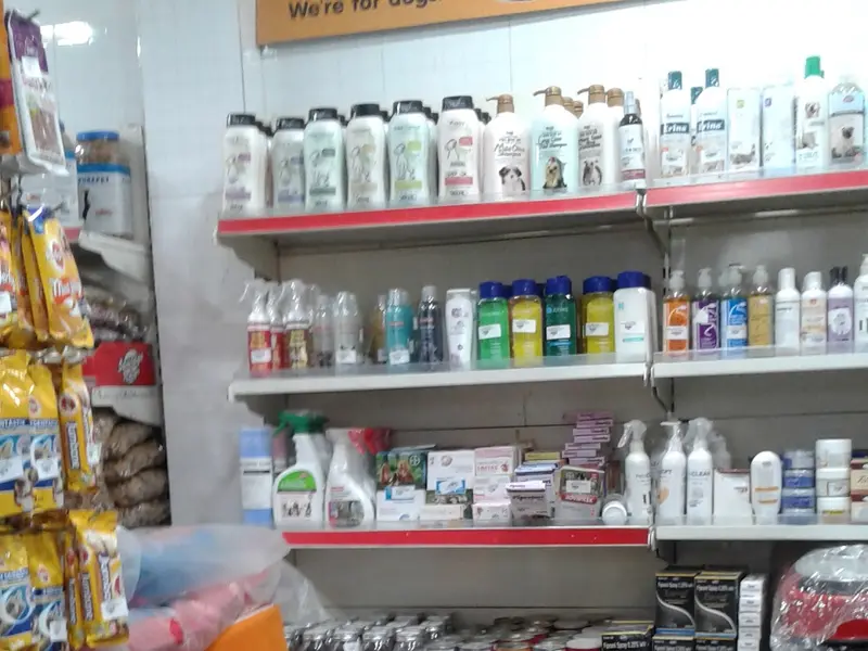 Doggy World Veterinary Hospital Rohini, photo 4