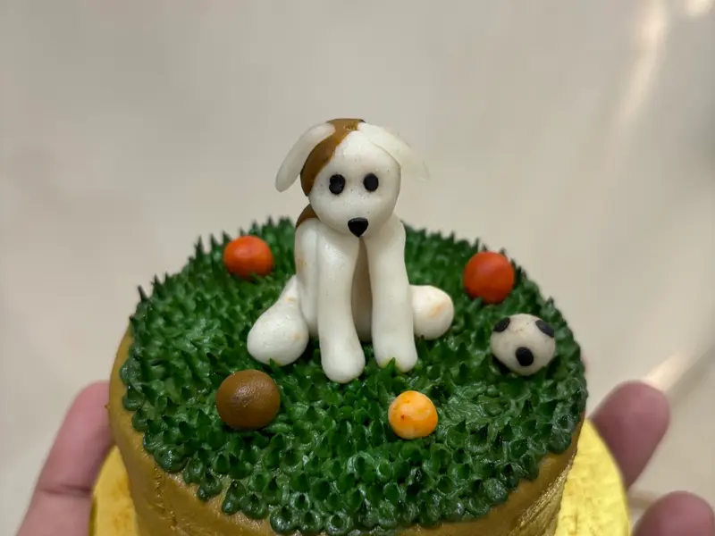 Doggy World, photo 4